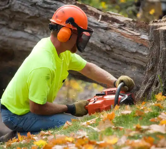 tree services Fort Belknap Agency